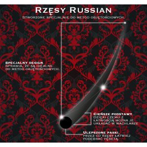 Rzęsy Russian Volume C 0,07 (długość 12) Noble Lashes
